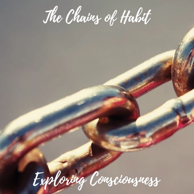 Metal chain links representing 'Chains of Habit'.